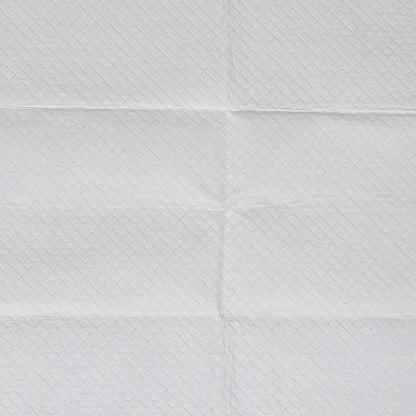 PaWz 200x Pet Dog Toilet Training Pad-1910112485130768389
