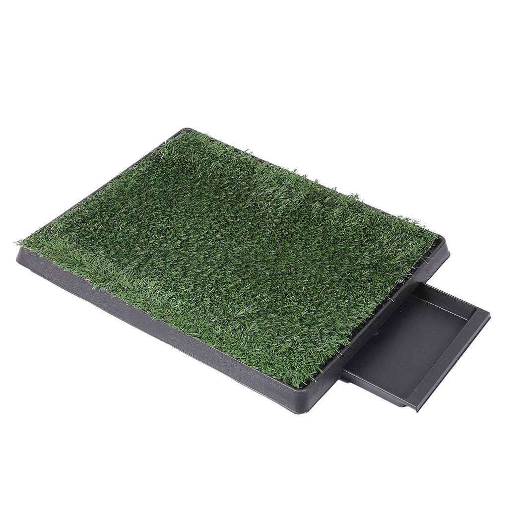 PaWz Indoor Dog Pet Grass Potty Training-1910112970550153216