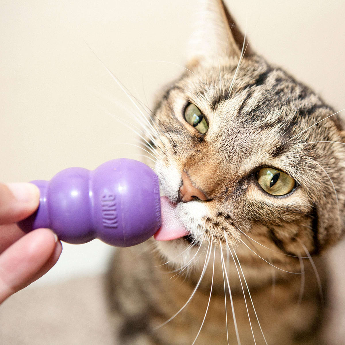 Kitty KONG Pet Savers
