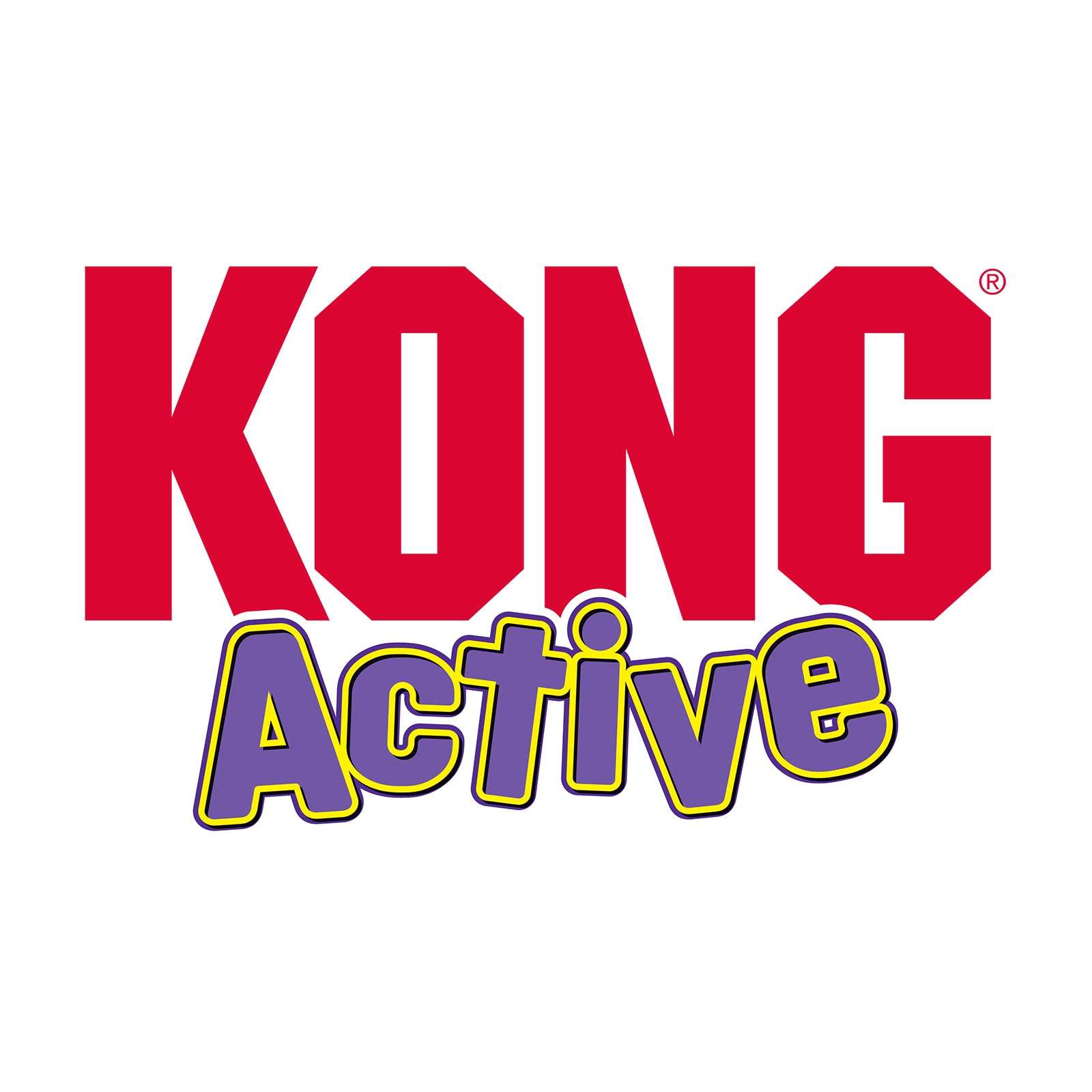 KONG Cat Active Twisted Boa Teaser Assorted Pet Savers