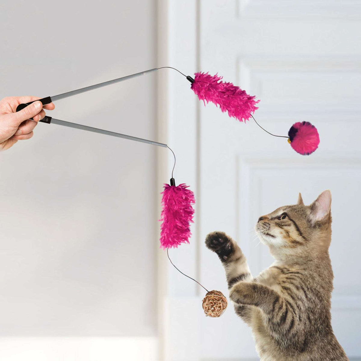 KONG Cat Tweezers Assorted Pet Savers