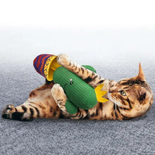 KONG Cat Wrangler Cactus Pet Savers