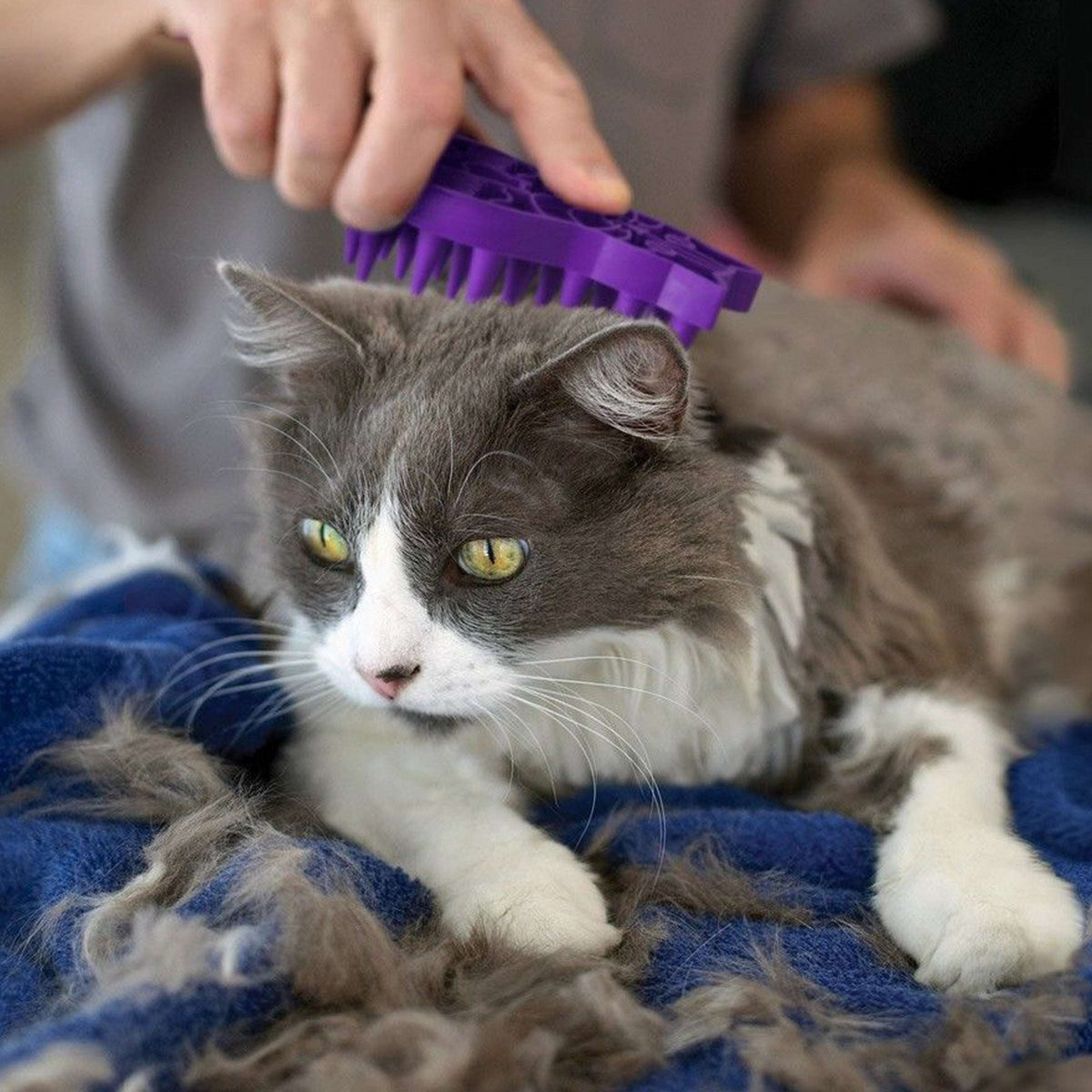 KONG Cat Zoom Groom Pet Savers