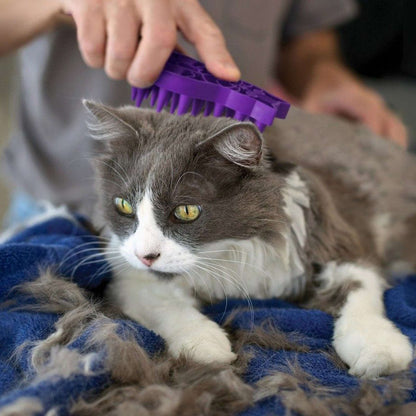 KONG Cat Zoom Groom Pet Savers