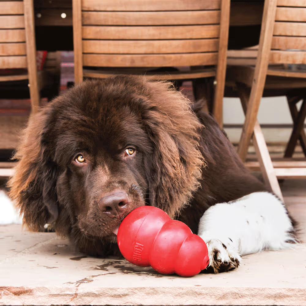 KONG Dog Classic Pet Savers