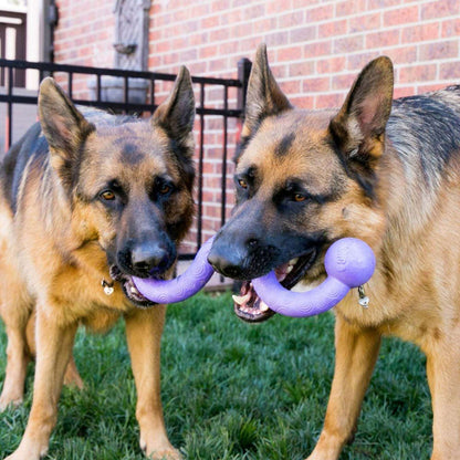 KONG Dog Ogee Stick Pet Savers