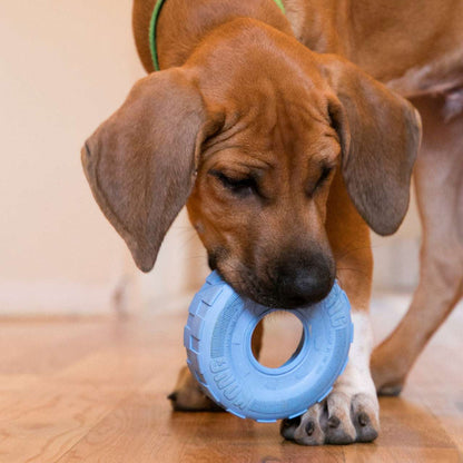 KONG Puppy Tires Pet Savers