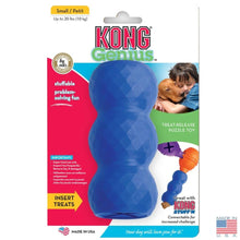KONG Dog Genius Mike Small (GM3)