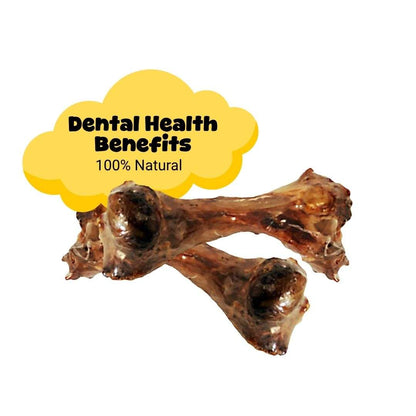 Large Beef Bones for Dogs - NG009 (Single) Pet Savers