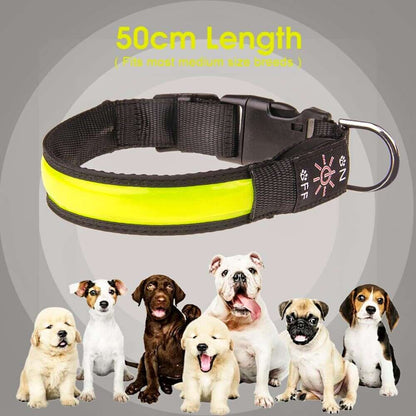 LED Dog Cat Collar - USB Rechargeable Glow Light Pet Savers