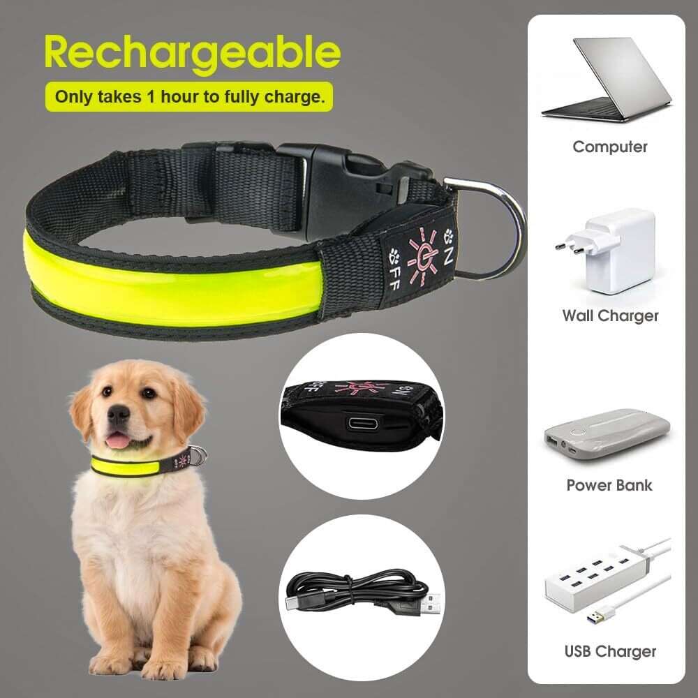 LED Dog Cat Collar - USB Rechargeable Glow Light Pet Savers