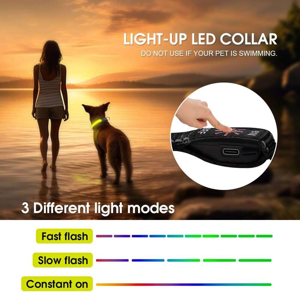LED Dog Cat Collar - USB Rechargeable Glow Light Pet Savers