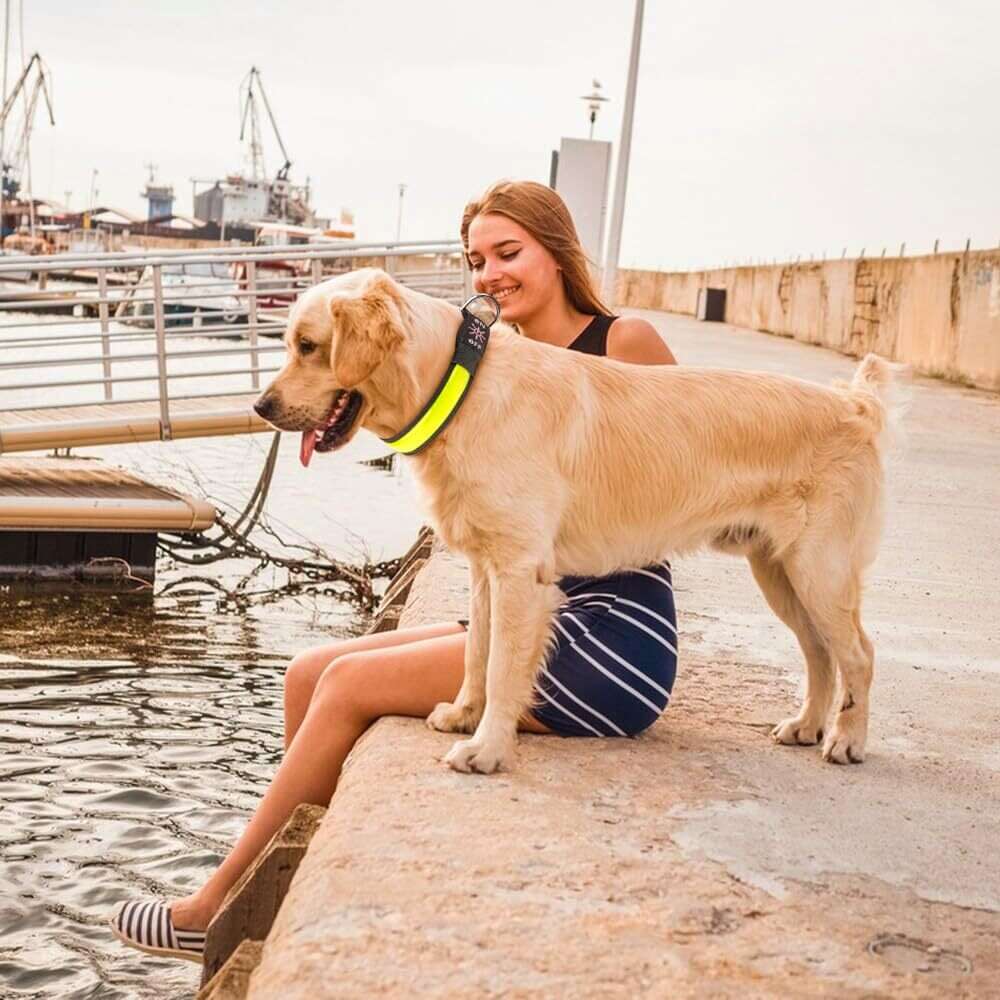 LED Dog Cat Collar - USB Rechargeable Glow Light Pet Savers
