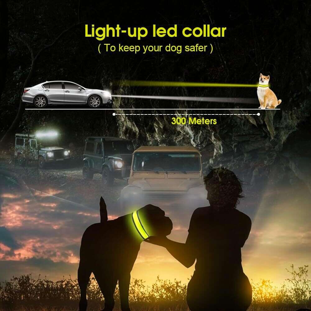 LED Dog Cat Collar - USB Rechargeable Glow Light Pet Savers