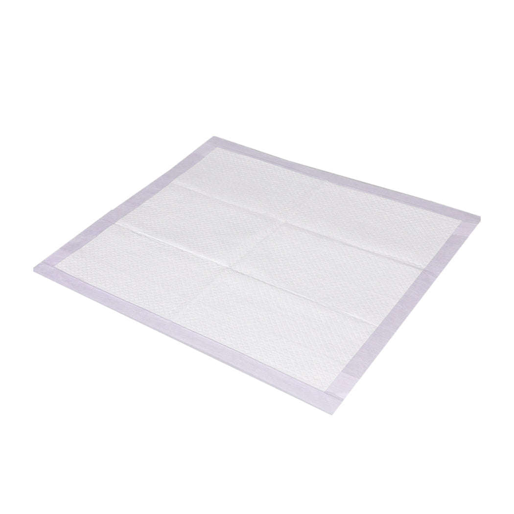 PaWz 100x Pet Dog Toilet Training Pad-1910112484946219008
