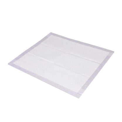 PaWz 100x Pet Dog Toilet Training Pad-1910112484946219008