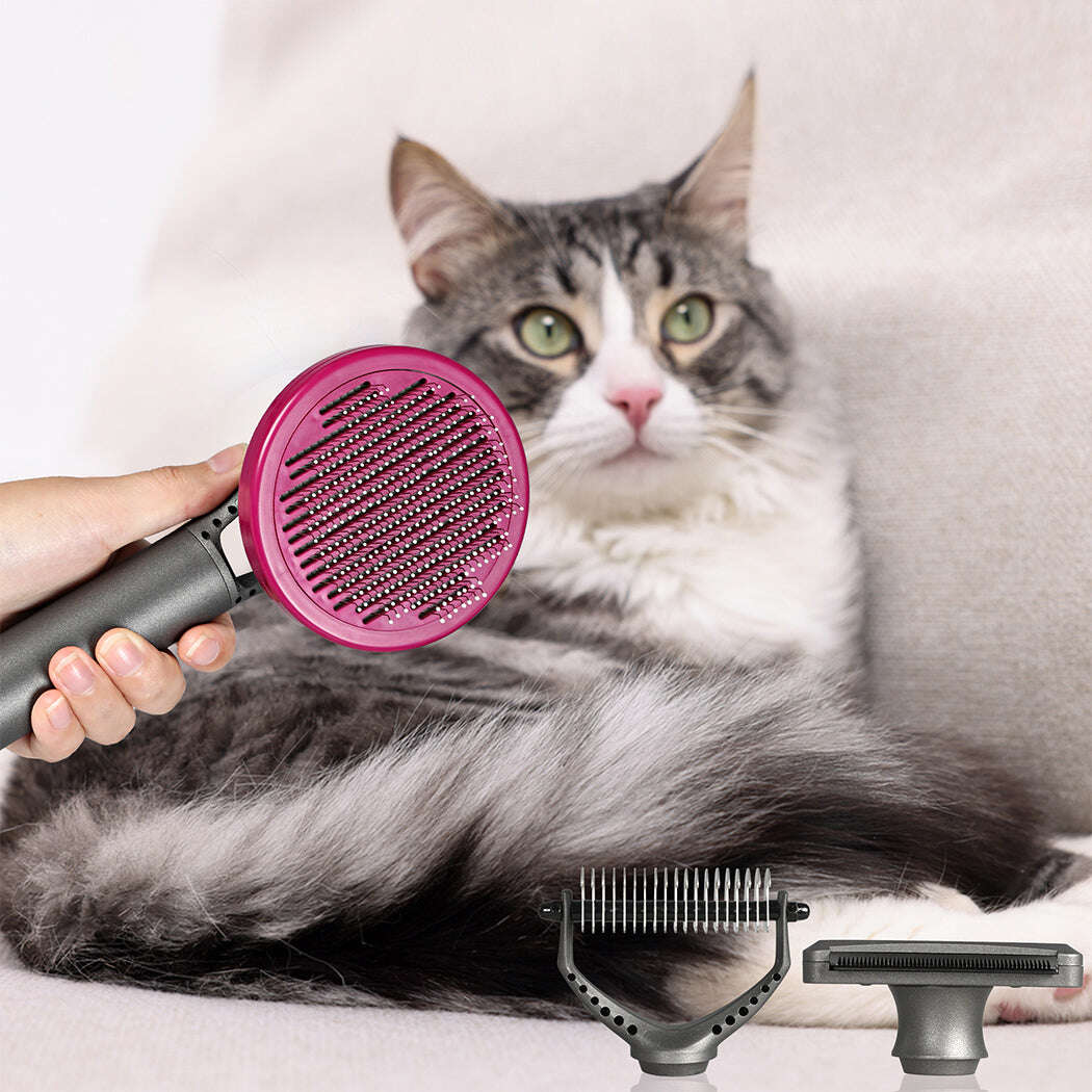 PaWz Pet Grooming Tools-1910112493699731462