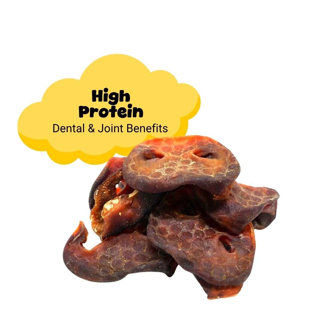 Pig Snouts 1kg Pet Savers