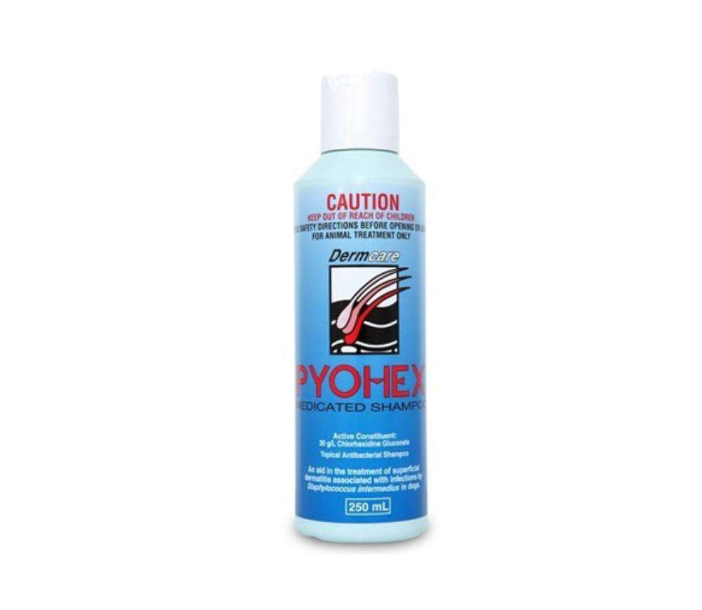 Pyohex Shampoo (Dermcare) 250ml Pet Savers