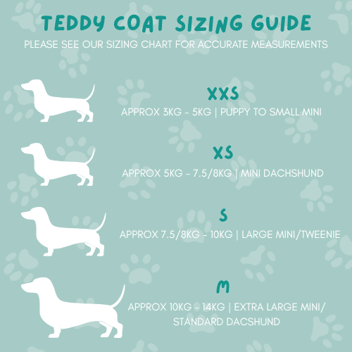 Teddy Fleece Doxie Coat