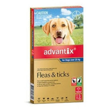 Advantix Dogs 3pk Over 25kg XLarge