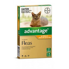Advantage 4pk Cat Small & Kitten Under 4kg
