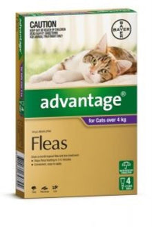 Advantage 4pk Cats over 4kg
