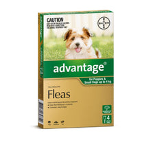 Advantage 4pk Small Dog & Puppy Treatment