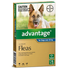 Advantage 4pk Dogs Over 25kg