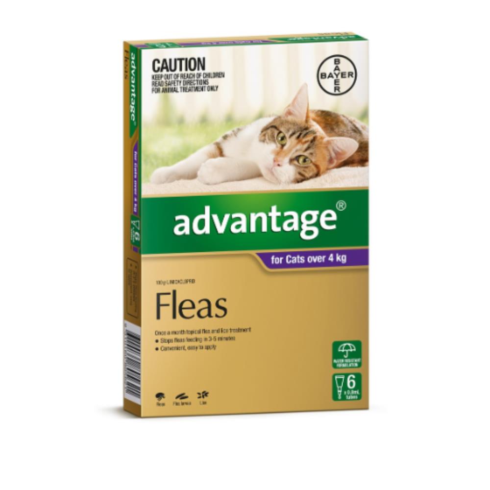 Advantage 6pk Cat over 4kg