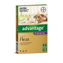 Advantage 6pk Cat over 4kg