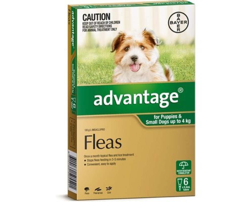Advantage 6pk Dog Small Dog & Puppy under 4kg