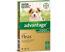 Advantage 6pk Dog Small Dog & Puppy under 4kg