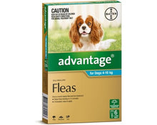 Advantage 6pk Dog 4 - 10kg