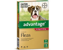 Advantage 6pk Dog 10 - 25kg