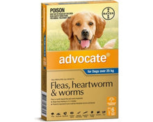 Advocate Dog over 25kg 6pk