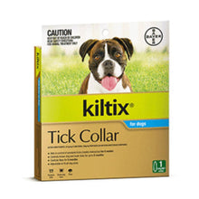 Kiltix Collar