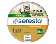 Seresto Kitten & Cat Collar (Orange)