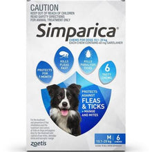 Simparica Dog 10.1-20kg Blue 6pk