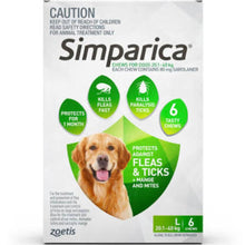 Simparica Dog 20.1-40kg Green 6pk
