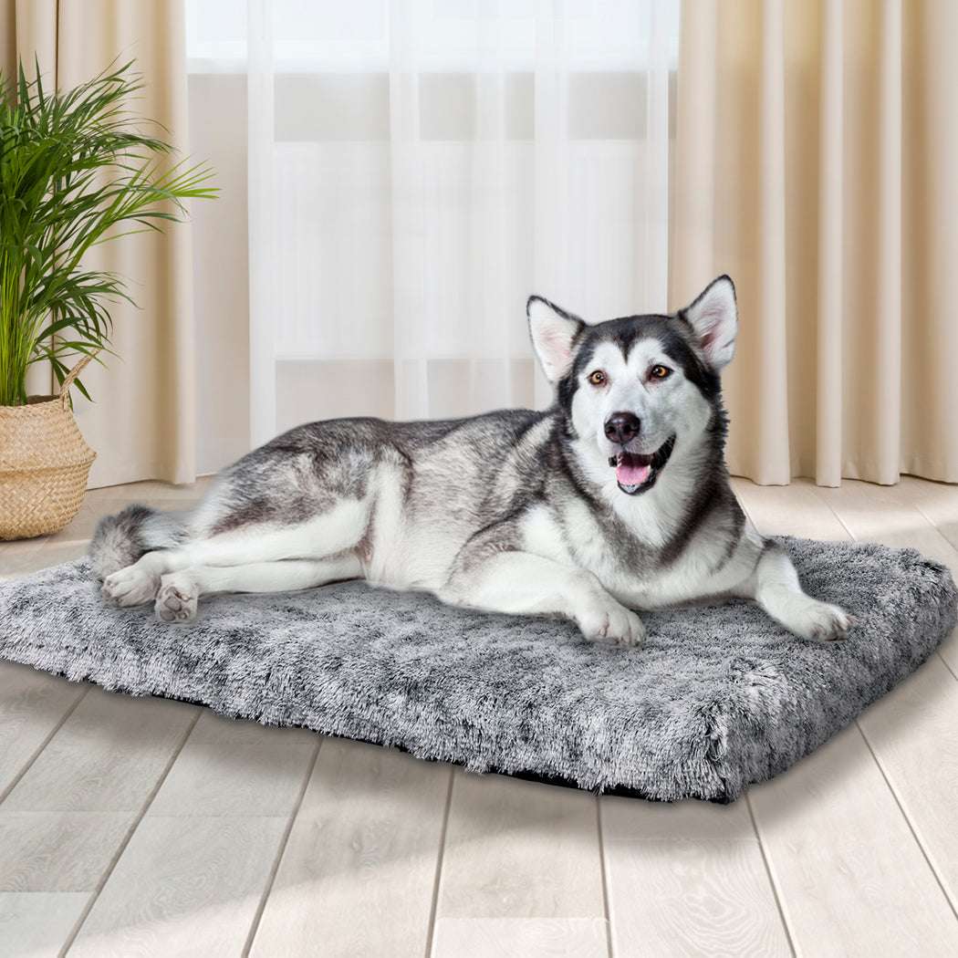 PaWz Dog Mat Pet Calming Bed Memory XL Charcoal X-Large-1910112464301854726